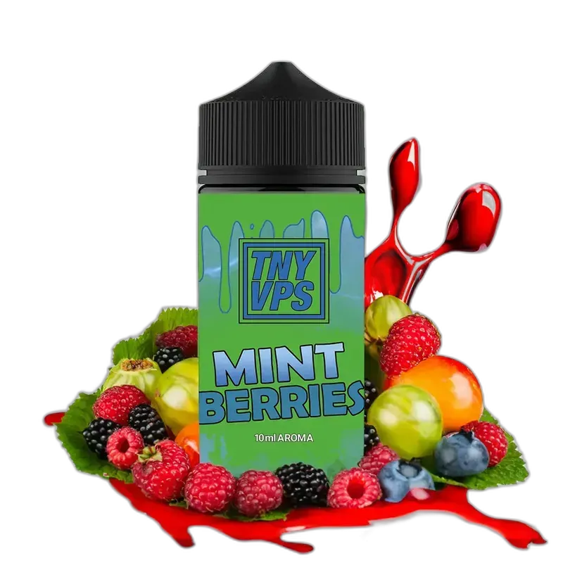 Tony Vapes Aroma Longfill - Mint Berries - 10ml in 100ml Flasche