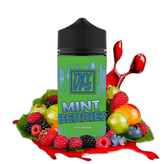 Tony Vapes Aroma Longfill - Mint Berries - 10ml in 100ml Flasche